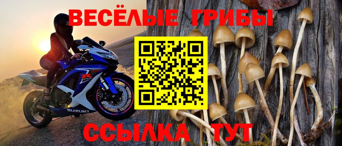 Ливны  Галлюциногенные грибы мицелий  Вход с VPN  Галлюциногенные грибы Psilocybe 